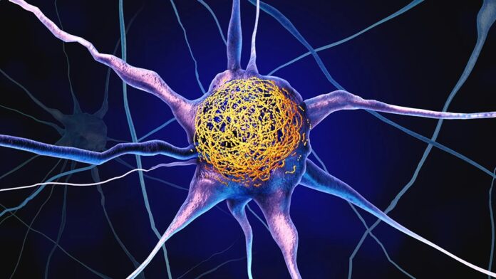 884e0657-10e4-47bf-b719-d012ab948b47