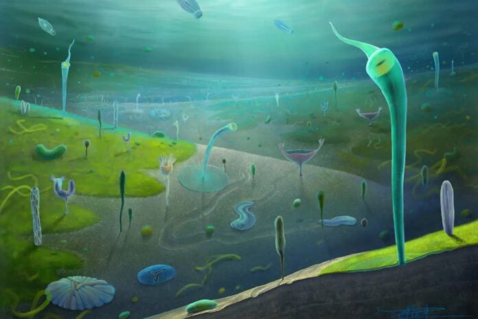 c936249b-51b4-4887-96ec-b54d30ff6556