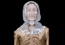 ДНК раскрывает скрытые социальные связи колонии Мэриленд