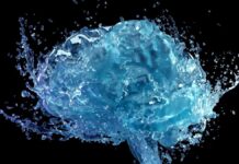 How Walking Acts as a Hydraulic Pump for Brain Waste Removal