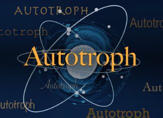 Автотроф: Як організми, які харчуються самі собою, запустили все