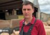 Scotland’s Pig Farmers Are Bleeding Out. £2m Won’t Stop The Bleed.
