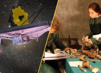 Заголовки науки: Космические аномалии, китайские суперлеса и яд Медичи
