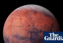 Viking 1 50th Anniversary: Did NASA Miss Evidence of Martian Life?