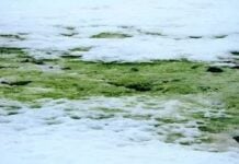 Найяскравіше світло у Всесвіті і найкоротший спалах в історії