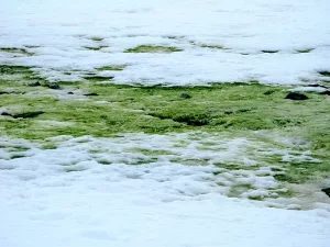 Найяскравіше світло у Всесвіті і найкоротший спалах в історії